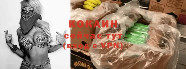 гашик Аркадак