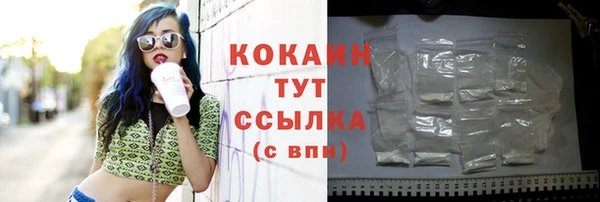 прущий лед Арсеньев