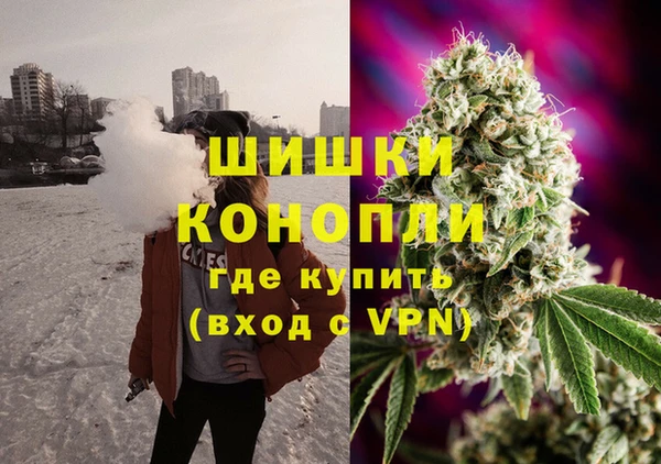 гашик Аркадак